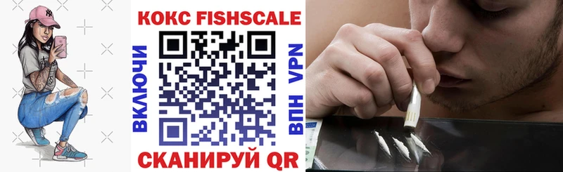 Cocaine FishScale  Купить  Камышлов 