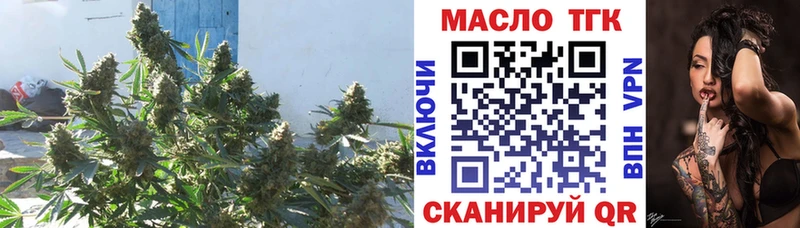 Купить где  Камышлов  ТГК концентрат 
