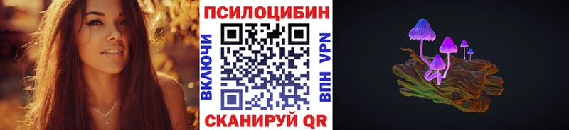 Псилоцибиновые грибы мухоморы  Купить закладки  Камышлов 